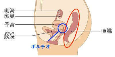 女性がオーガズムを得るアナル