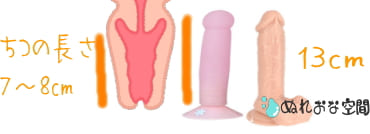 膣の長さとピンクアングルの長さ・一般的なペニスの長さとの比較画像